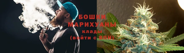ПСИЛОЦИБИНОВЫЕ ГРИБЫ Зеленодольск