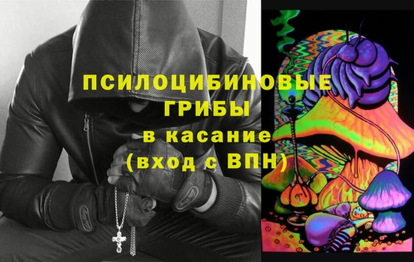 ПСИЛОЦИБИНОВЫЕ ГРИБЫ Зеленодольск