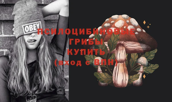 спайс Киров