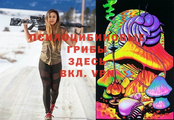 ПСИЛОЦИБИНОВЫЕ ГРИБЫ Зеленодольск