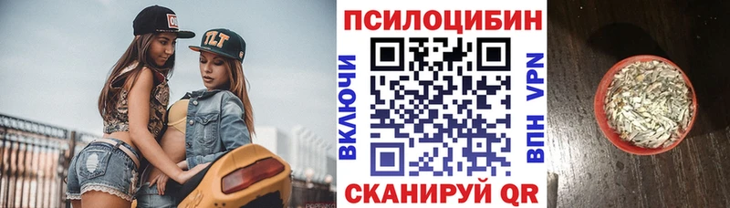 Псилоцибиновые грибы прущие грибы  Купить  Костомукша 